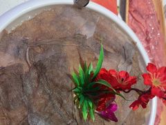 -千牛将·鲜牛肉火锅(开元路店)