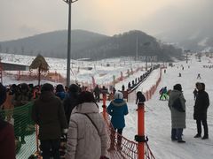 -中旅松花湖滑雪场