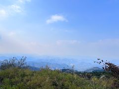 -鲁山国家森林公园