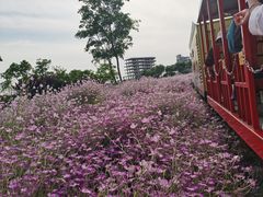 -歌斐颂巧克力小镇