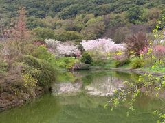 -苏州上方山国家森林公园