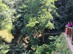 -莫干山风景区