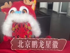 -北京鹏龙星徽奔驰4S店(西大望路店)