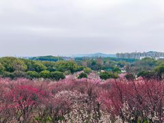 -无锡梅园公园