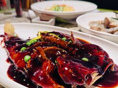 -桂满陇天书(南京德基旗舰店)