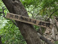 -雾灵西峰
