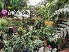 -正佳雨林生态植物园