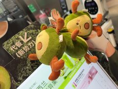 -树夏(建设路店)