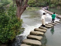 -贵阳市花溪国家城市湿地公园
