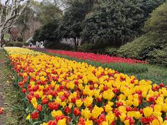 -上海鲜花港