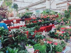 -秦美花卉(天朗·莱茵小城2期店)