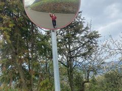 -桑洲油菜花景区