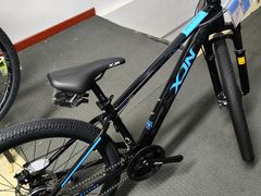 -道路口单车爱瓦士dahon大行