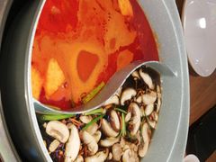 -青瓷火锅料理(西单大悦城店)