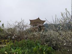 -广州市流溪河国家森林公园