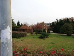 -黑石礁公园