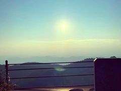 -鲁山国家森林公园