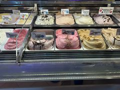 -Dooley's Premium Ice Cream