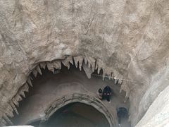 -南山植物园
