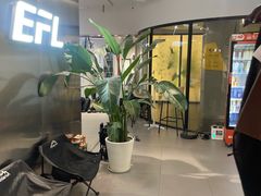 -EFL巴西柔术·综合格斗·泰拳·少儿体能训练(虹桥德必馆)