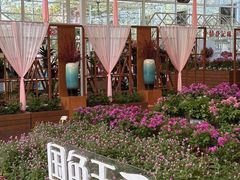 -盈香心动乐园
