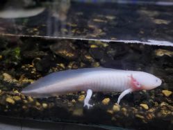 -Zoolung Zoolung动物主题公园(海信广场店)