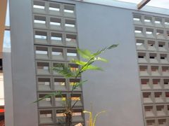 -菌自在·云南野生菌火锅(长安万达店)