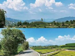 -杨家堂村