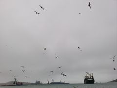 -海驴岛(荣成市)