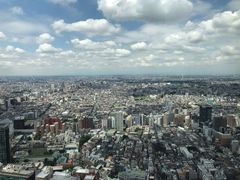 -东京都厅舍