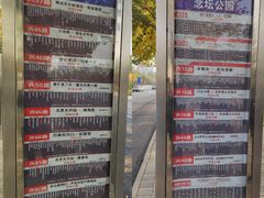 -大兴滨河森林公园