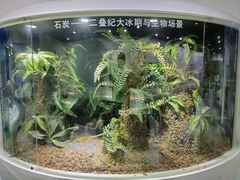 -中国第四纪冰川遗迹陈列馆