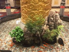 -万荣烤鸭店·北京菜(天坛店)