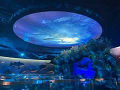 -陕西自然博物馆