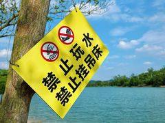 -凤岗南门山森林公园