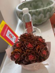 -Lily纤美·科技减脂中心