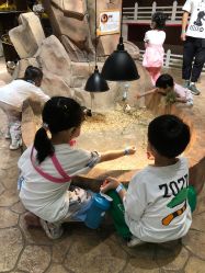 -宝燕乐园(闵行旗舰店)