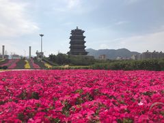 -永定河休闲森林公园