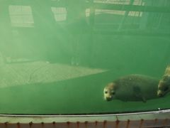 -北戴河圣蓝海洋公园