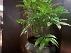 -喜湘宴·精致湖南菜(和平西桥店)