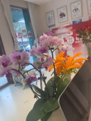 -Dr.林醫生产后修复·配方产康店(南京大厂店)