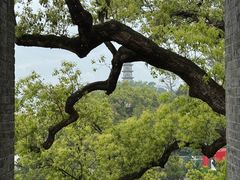 -江心屿景区