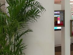 -中国建设银行(北京朝阳支行)