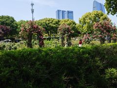 -金鸡湖景区