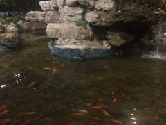 -森谷美食公园(杨行店)