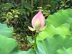 -成都杜甫草堂博物馆