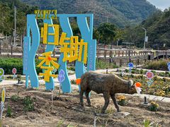 -锄山村