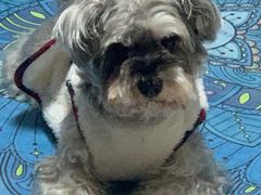 -维也纳国际机场