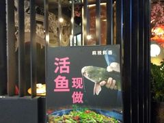 -老板恋上鱼(印象城店)