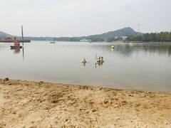 -上海月湖雕塑公园